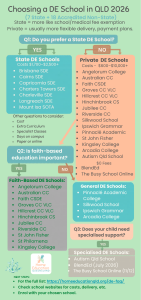 Help with choosing a DE school option
